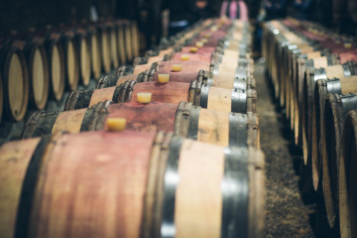 Wine barrels aging in cellar